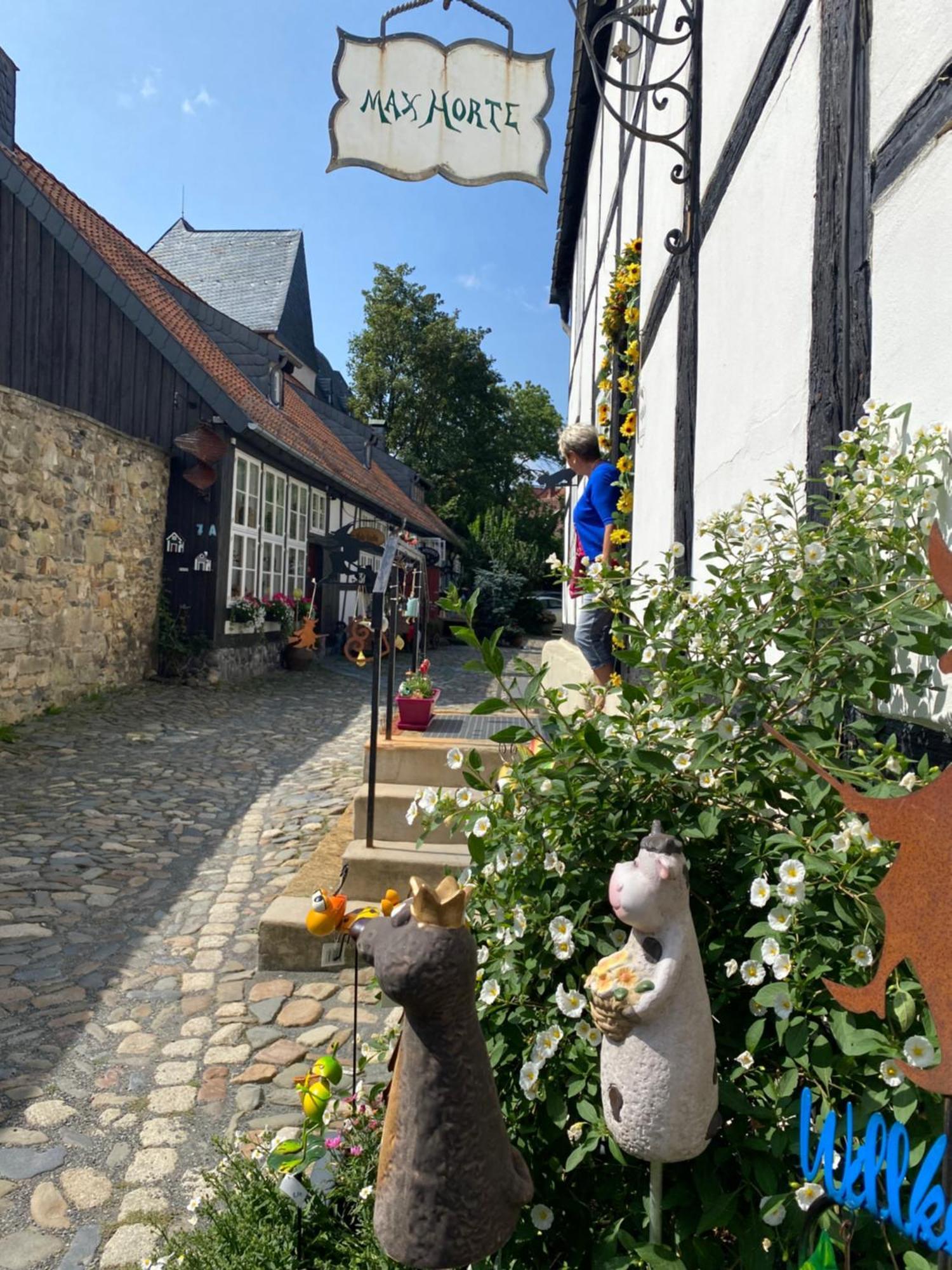 Fewo Georgenberg Goslar Eksteriør bilde