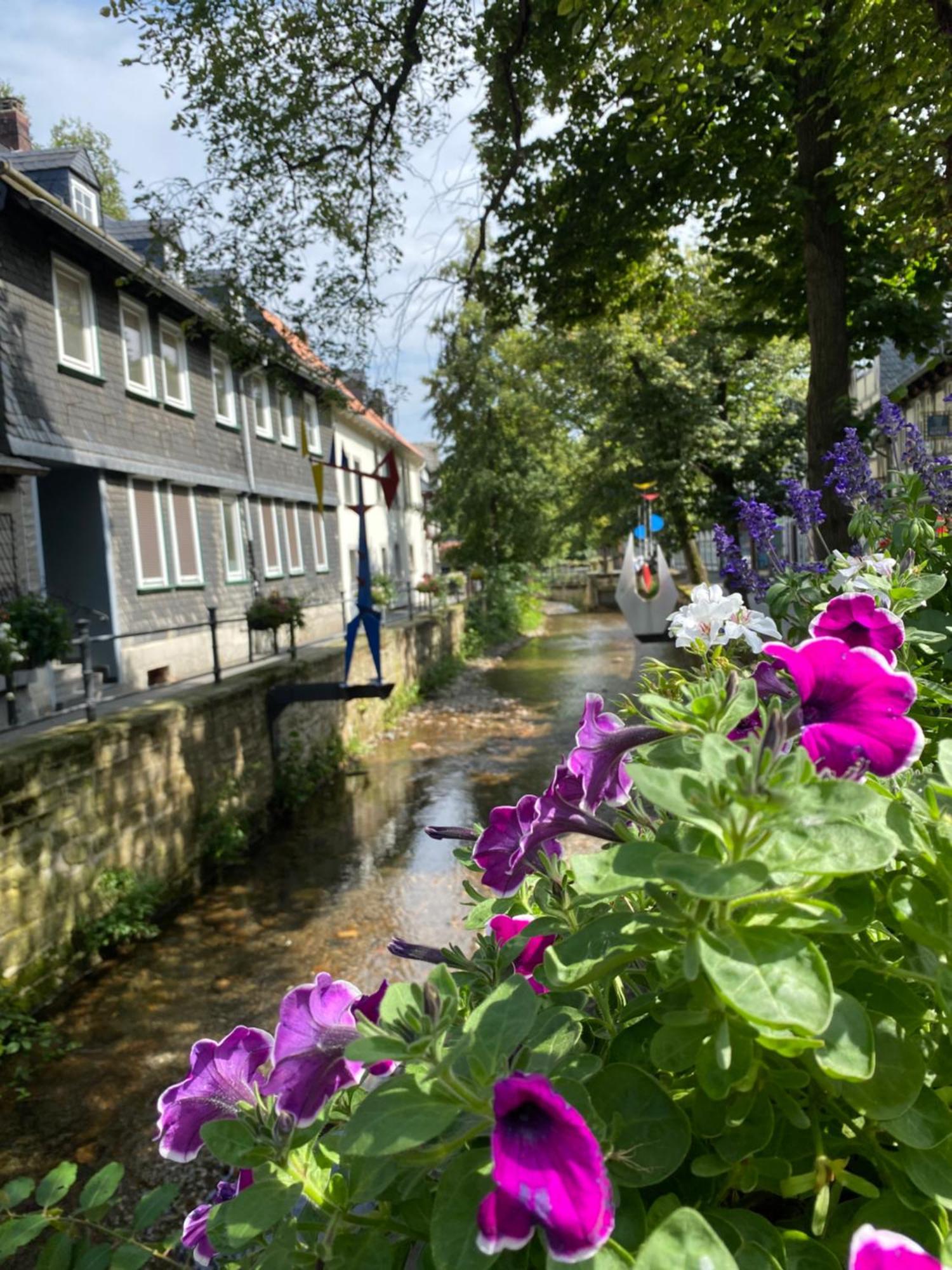 Fewo Georgenberg Goslar Eksteriør bilde