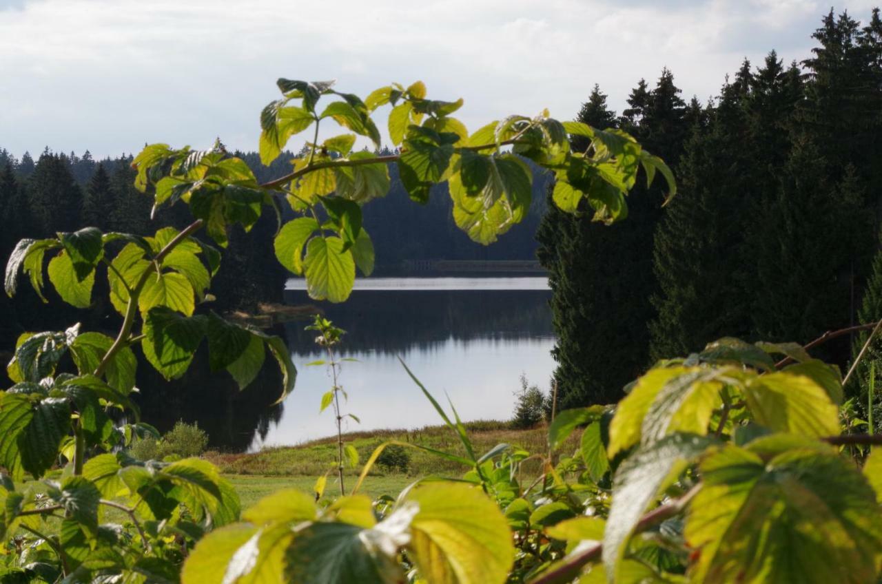 Fewo Georgenberg Goslar Eksteriør bilde